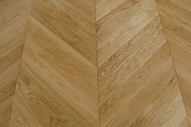 Proje 6
