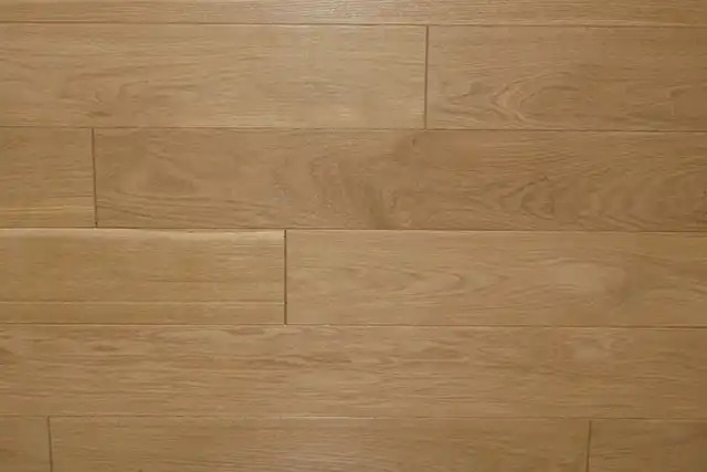 Proje 7